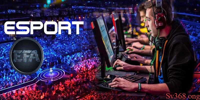 Cá cược e-sport ae888 tại nhà cái sv368 hot nhất 2025 4 Kinh nghiệm cá cược e-sport ae888