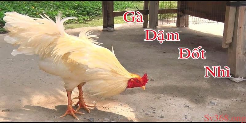 Tổng Hợp Tất Cả 33 Loại Gà Thần Kê Trong Truyền Thuyết 2025 3 Tổng hợp 33 loại gà thần kê