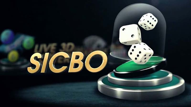 thuật toán sicbo Vai trò của thuật toán sicbo là gì ?