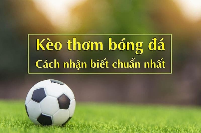 Kèo Thơm Bóng Đá Là Gì? Bí Quyết Và Kinh Nghiệm Chơi 2025 1 Kèo thơm bóng đá là gì