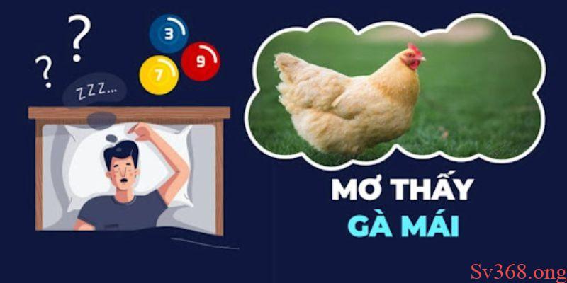 Ý nghĩa cụ thể của một số giấc mơ thấy gà Ý nghĩa cụ thể của một số giấc mơ thấy gà