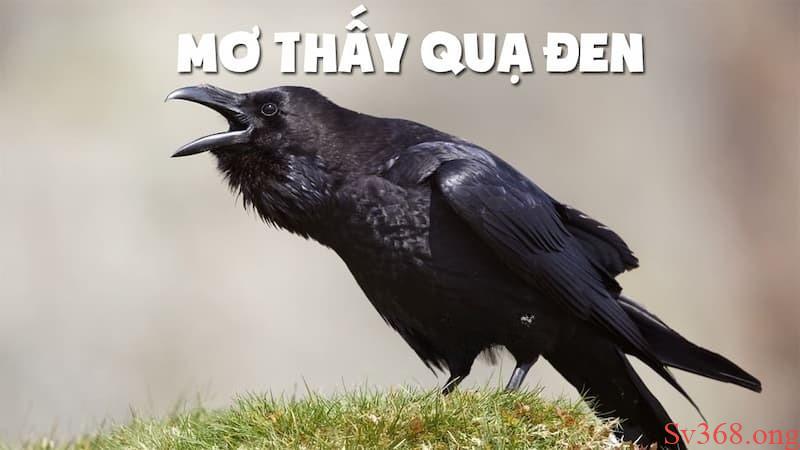 mơ thấy quạ đen mơ thấy quạ đen