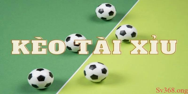 Tips Bóng Đá Chuẩn - Bí Quyết Cá Cược Nhanh Thắng Mỗi Ngày 2 Tips cá cược bóng đá tài xỉu