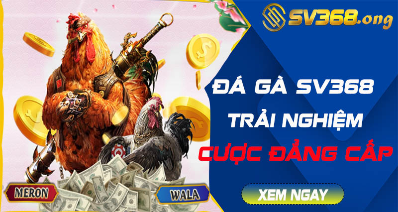 Đá gà sv368 - Trải nghiệm sảnh game thú vị hơn tất cả 9 đá gà sv368